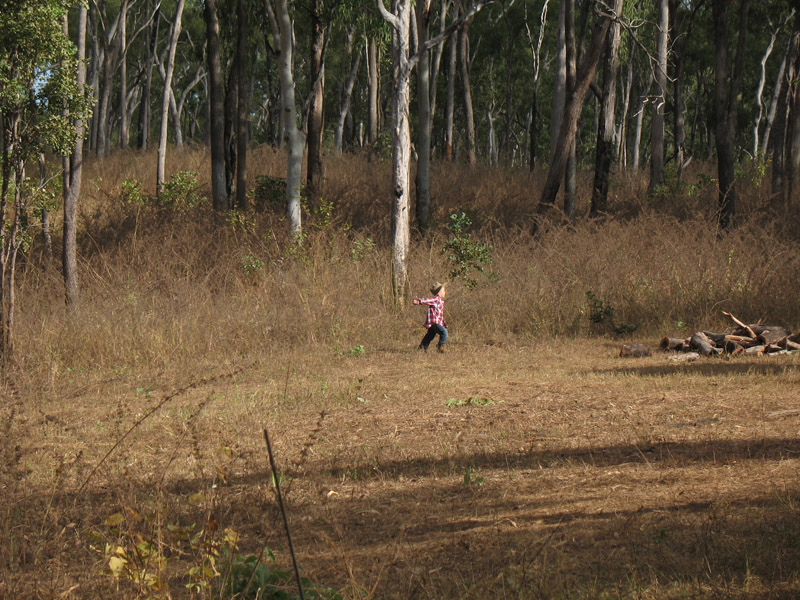 Lakefield National Park - Walkabout